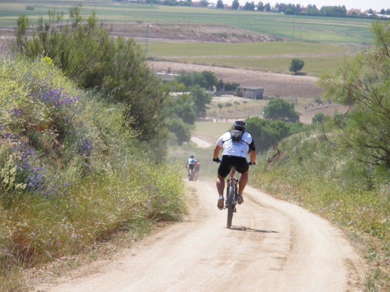 Camino de Moraleja