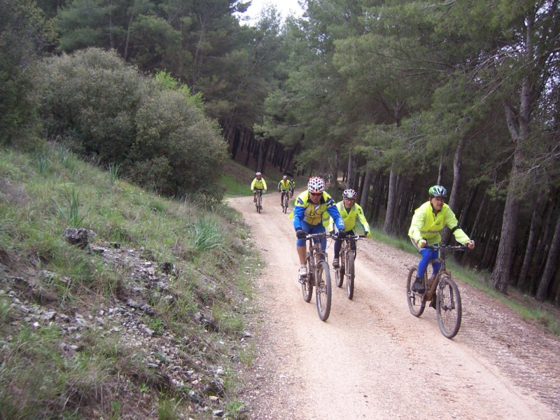 pinar de Valdilecha